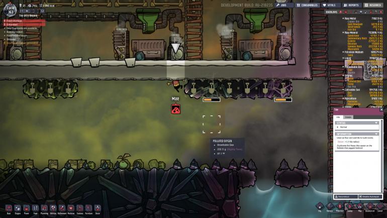 mae - how he get in there.jpg