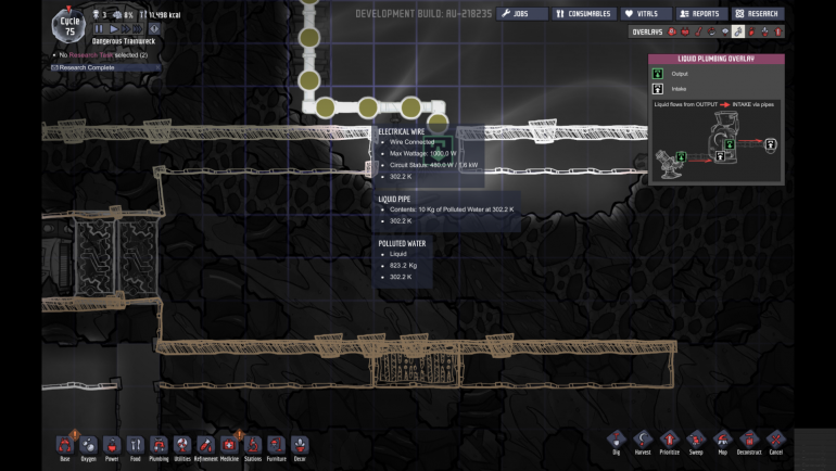 oni bug pic 2.png