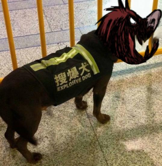 image.jpeg