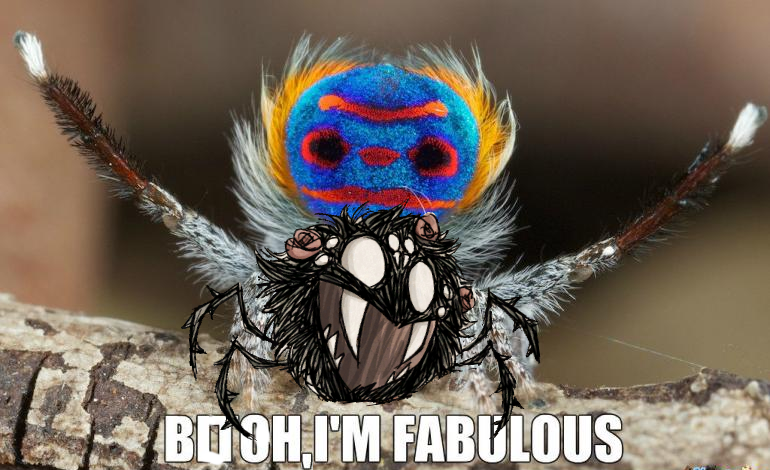 um1.png