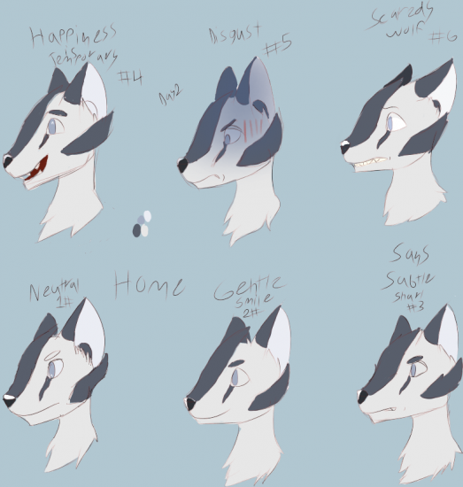 wilson_head.png