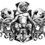 Direpug