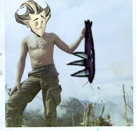 um.png.fafdf164032aa3ae8ddeac38923e68ae.png