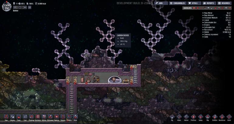 ONI Carbon Forest.jpg