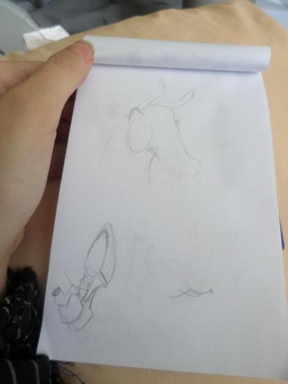 SAM_2852.thumb.JPG.3956ed4ff2a198f40e7fb1741bc0405b.JPG