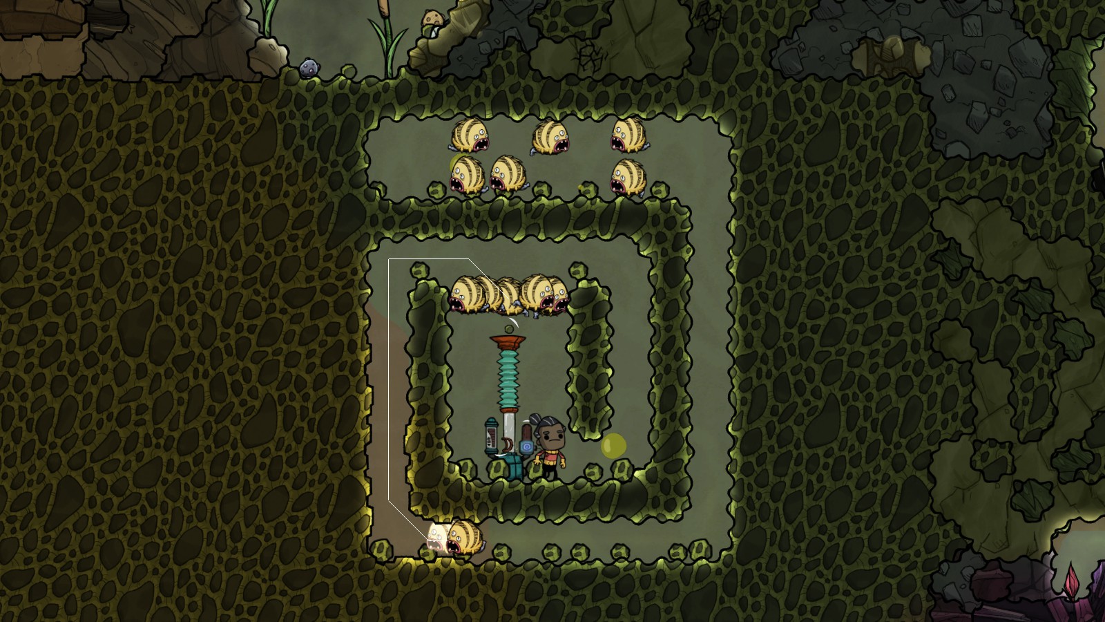 dig out the space however, and they cant resist going to it.