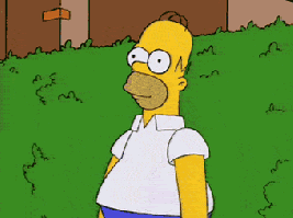 giphy.gif.bbf3c206199830190537bab29bc2783e.gif