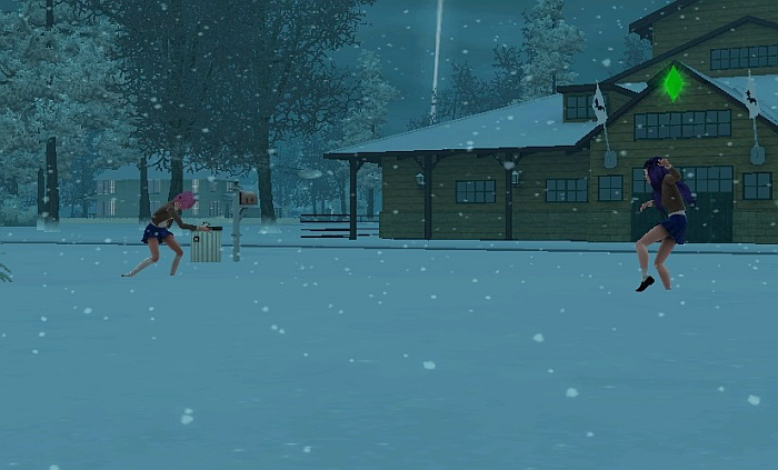 snowballfight.png.1784ca33d57ac5df8d94e77c9c1cf25f.png