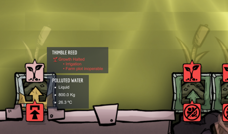 thimble-reed-irrigation.png