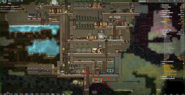 idle hangout.JPG
