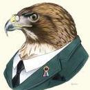 LifelessHawk