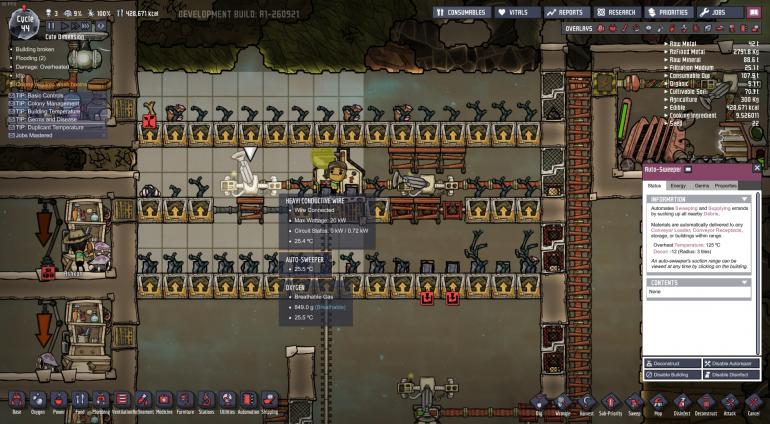 bug.jpg