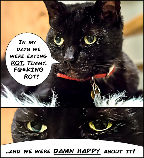 rot_cat