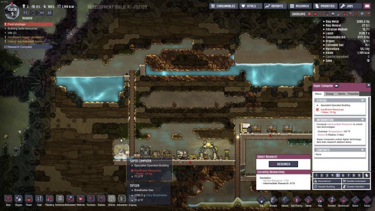 ONI water bug.JPG