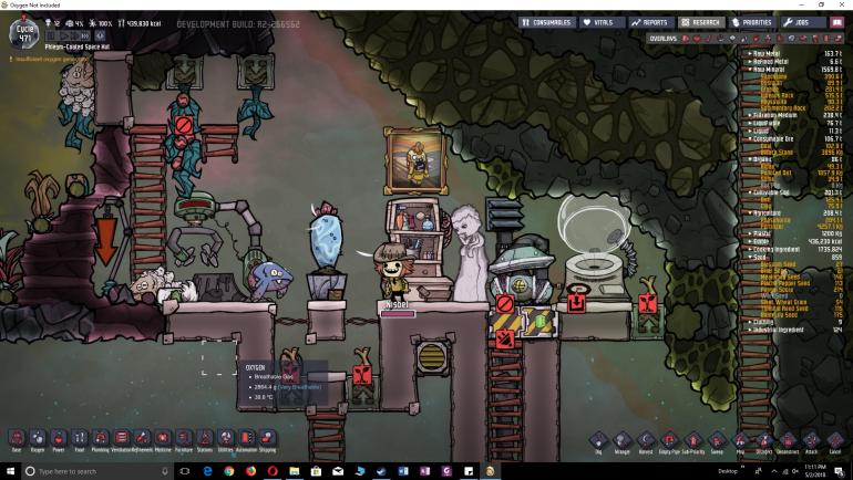 drecko 1.jpg