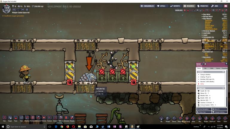 drecko 2.jpg