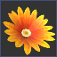 head-collectable-orange_daisy.png.ef2c60725af30fd7f877662d813ee45d.png
