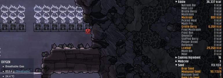oni-seeds2.jpg
