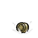 quagmire_coin01.gif.da432b515912d1f2238fb26627ec8f95.gif