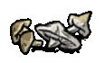 quagmire_mushrooms_idle.gif.930da87257d7725262b48c2c6be7cfbd.gif