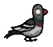 quagmire_pigeon_idle.gif.d0bb2b28f491c6db5c50f6194cd8d0fb.gif