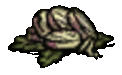 quagmire_turnip_cooked.gif.74e59c6c641987b5418e71d0c31bd438.gif