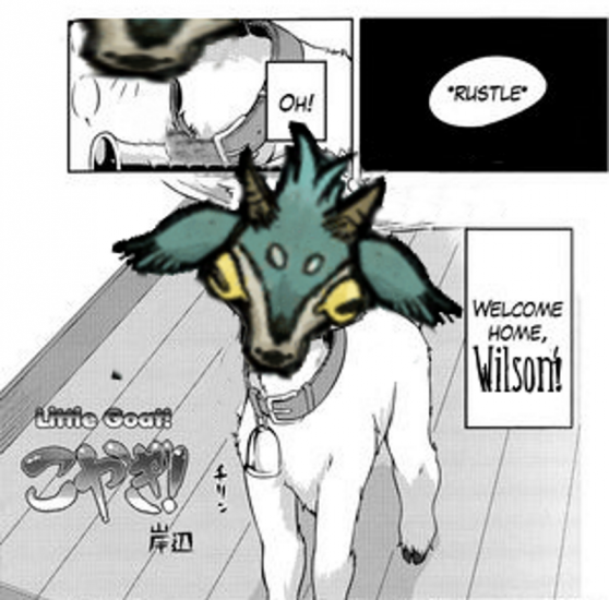 um5.png