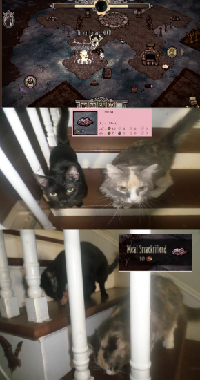 um6.thumb.png.db22516df26e654edf559eafaad0337d.png