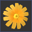 head-collectable-yellow_daisy.png.7c3b5440678992b0d5190be9a7b213d6.png