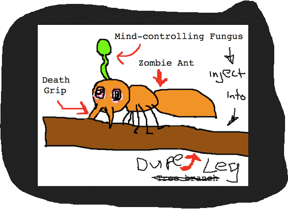 antombie.PNG.ab1aa5f000d6224c4a777e09803ed9b3.PNG