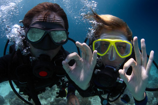 diver.jpg.4038d502ed530787a3990b63be5f8d4b.jpg