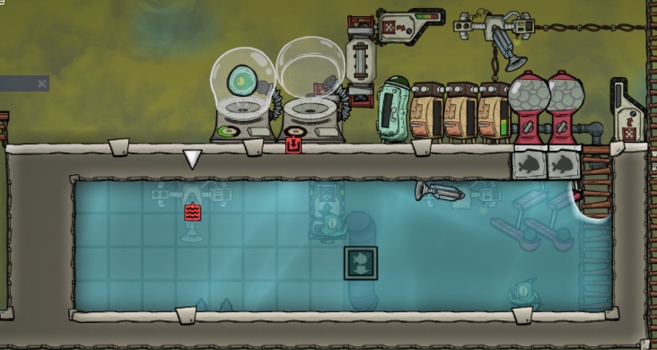 fish.jpg.33c7d9b2251ba8045319946e2476bbe7.jpg