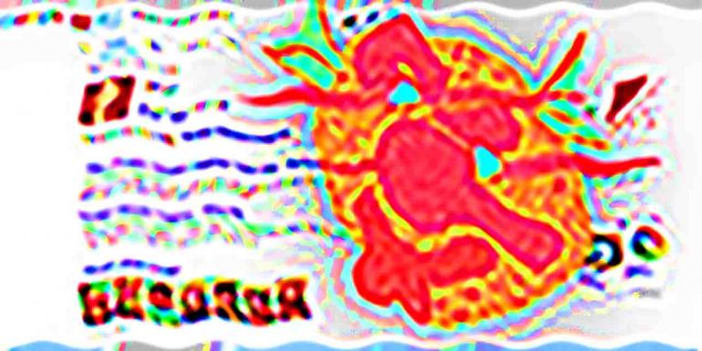 the_horror.jpg