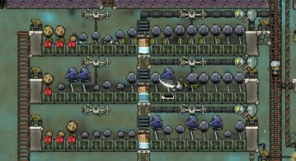 5bbf993e4b2b5_Mushroomfarms.JPG.cfe39bef0ee4580d29393e528a05c774.JPG