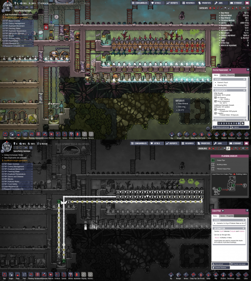 bug screenshot oxygen not included 4.png