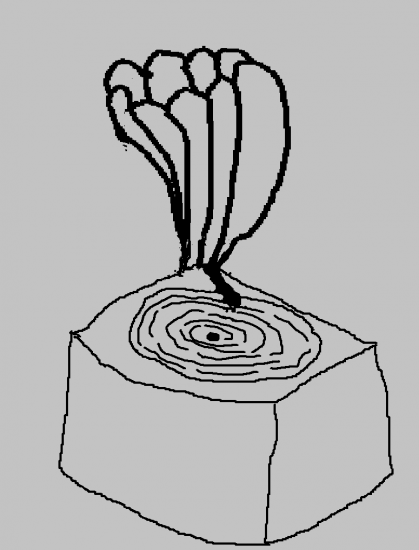 image.thumb.png.632eb6a5eaf3b82aa1d1086ab0c14f90.png