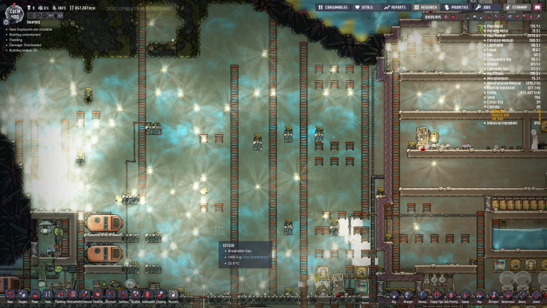 shine bug infestation.png