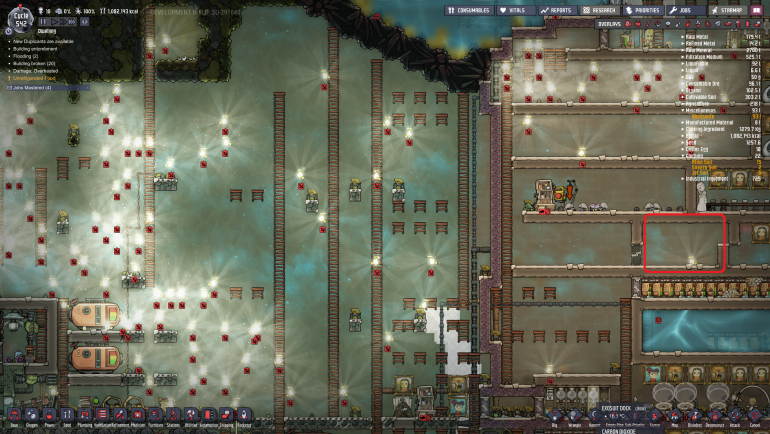 shine bug infestation 4.png