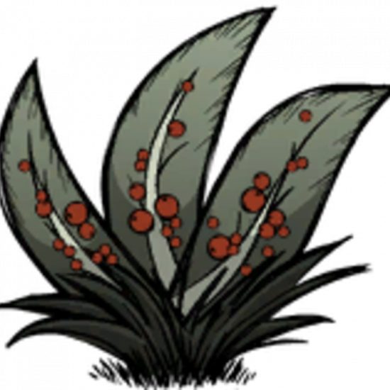 Berry_Bush2.thumb.png.090a0ca4465b5d53ae01d60759b2fe56.png