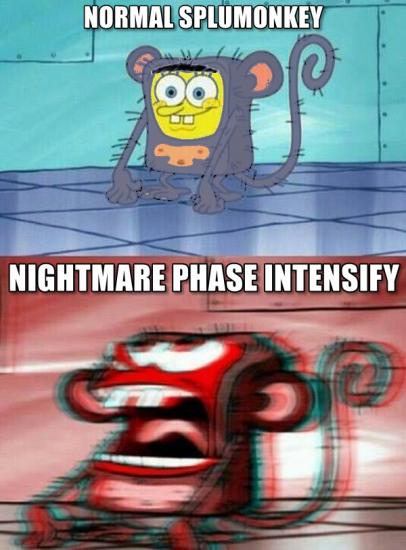 splumonkey.jpg
