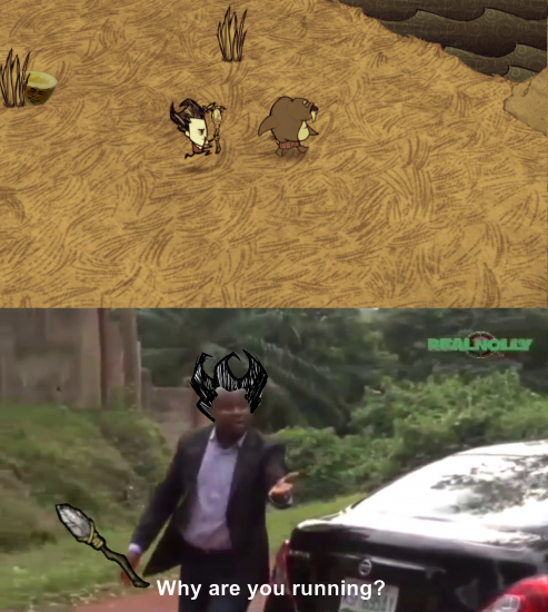 whyareyourunning.png