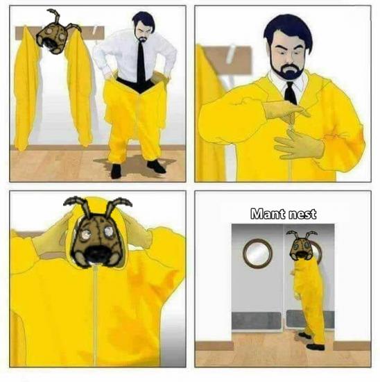 enteringthemantnest.thumb.jpg.b5017c0fee12849180da4ca790441291.jpg