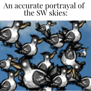 image.png.464d2698e3a54bc4b081962c95c2fc87.png