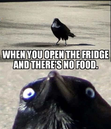 Insanity Crow 20022019210022.jpg