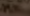 5c840eed34336_Screenshot2019-03-09at1_57_36PM.png.f3935ef8666af0875092b6f6c8420957.png