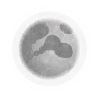 artifact_moon_0.png.18314d56418b4f3156595f0a66bec640.png