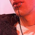 Sp1itLip