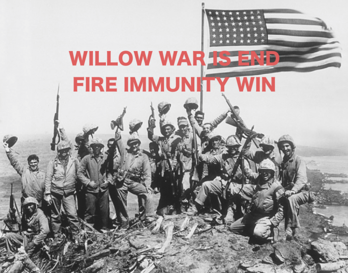 5ccbdc9a2e624_WillowWarmeme.thumb.png.38c63909909b81456d5d63e0390e782a.png