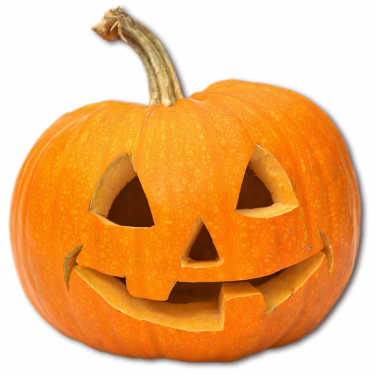 Pumpkin.thumb.png.77c4a72b1d3504a5ed61e6dff67fff72.png