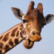 MrGerriffe